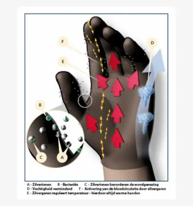 BestSilver Zilver handschoenen